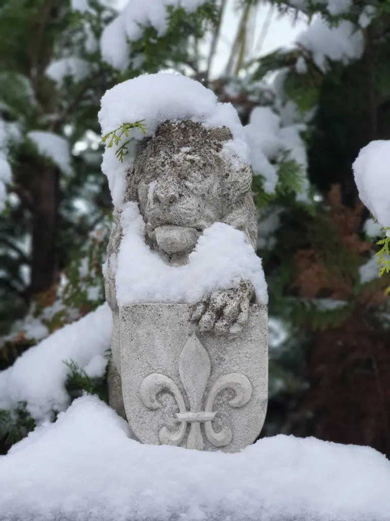 Löwenstatue mit Fleur de Lis (Winterbilder Januar 2021)