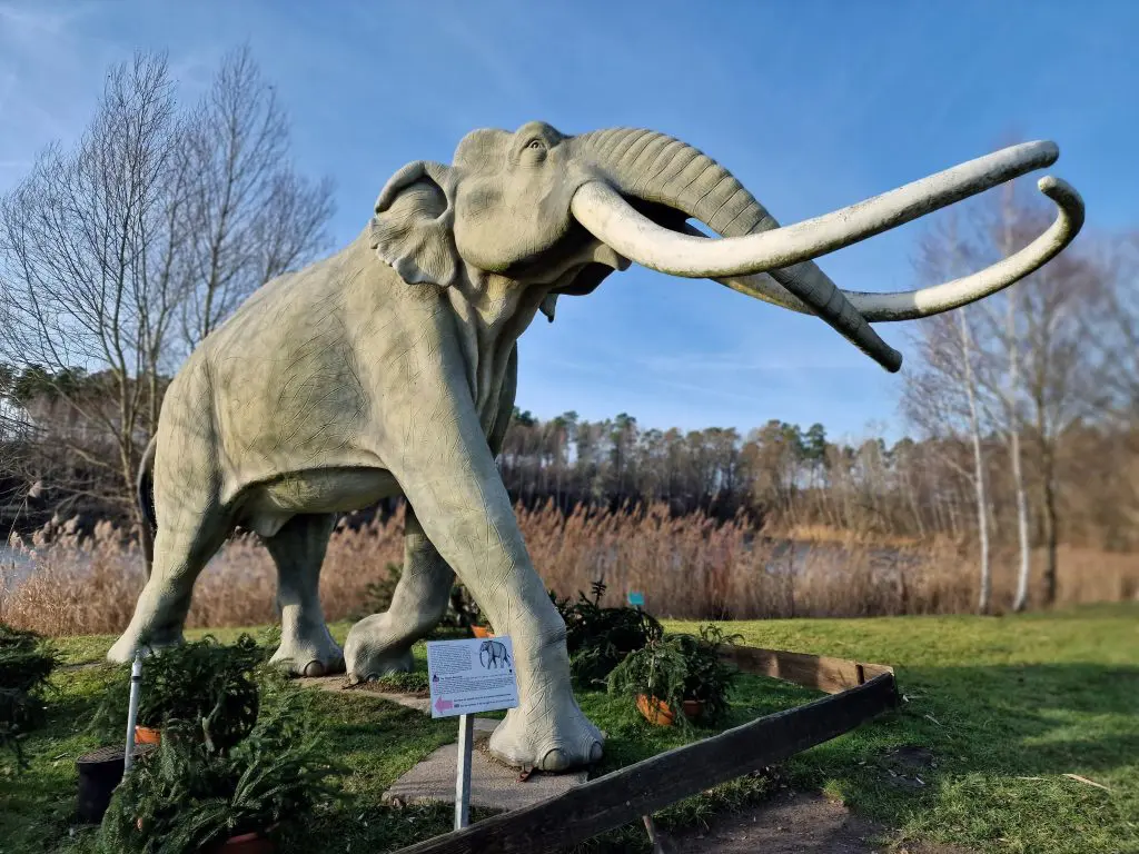 Tierpark Germendorf Dezember 2022