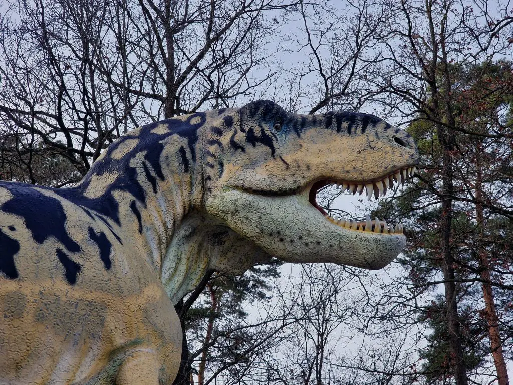 Tierpark Germendorf Dezember 2022 - T-Rex