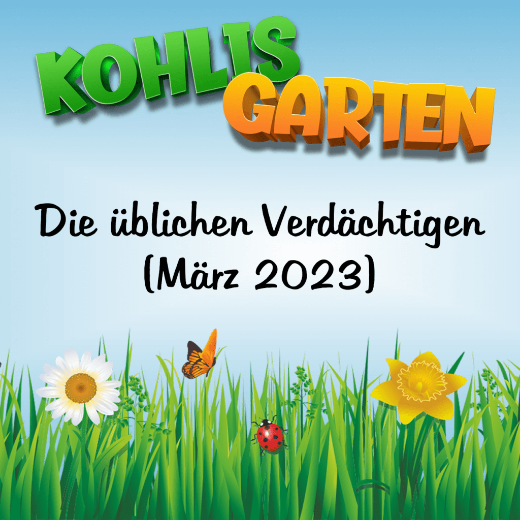 Vogelbeobachtung in Kohlis Garten - Die üblichen Verdächtigen (März 2023)