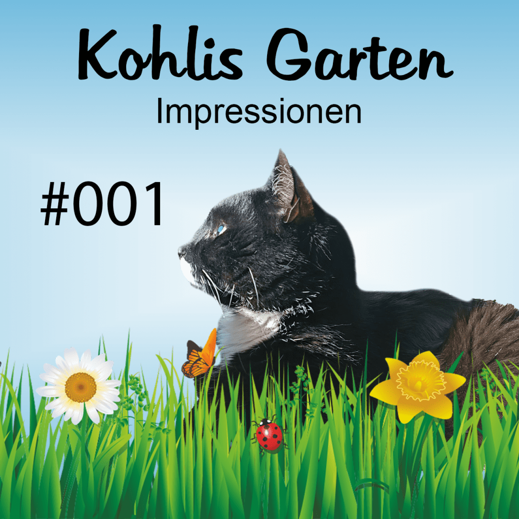 Kohlis Garten Impressionen #001 (April Mai 2024)